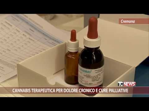 Medical cannabis for chronic pain and palliative care