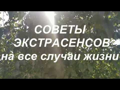 Советы экстрасенсов на все случаи жизни. Народные приметы и поверья