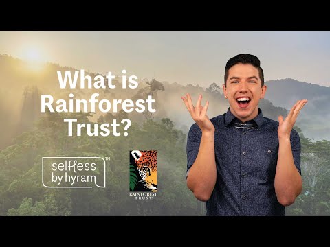 What do rainforest charities do?