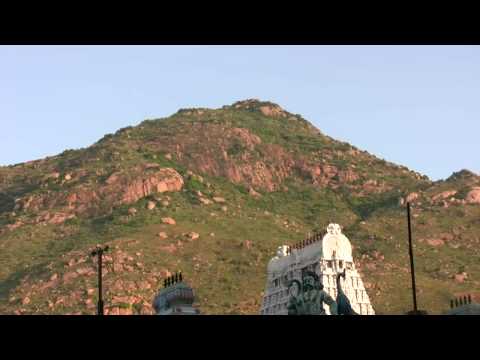 Sri Arunachaleswara Temple