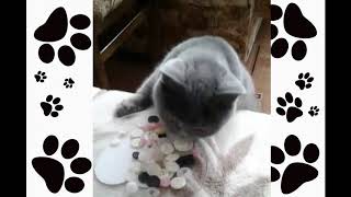 Анфиса рукодельница! 😻 Я еще и вышивать могу! 😂 ❤️