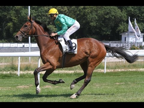 München: Preis der Widhopf GmbH (D) - Siegerin: Zenturie