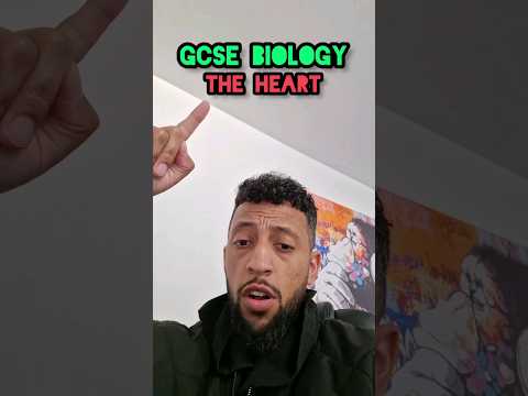 GCSE Biology Heart Rap 💥💥💥