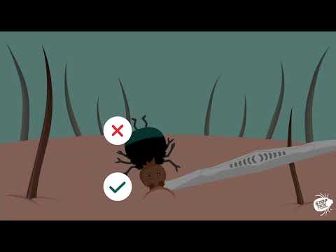 Szalag paraziták hogyan lehet megszabadulni