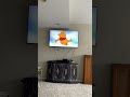Opening To Winnie The Pooh Growing Up 1995 VHS