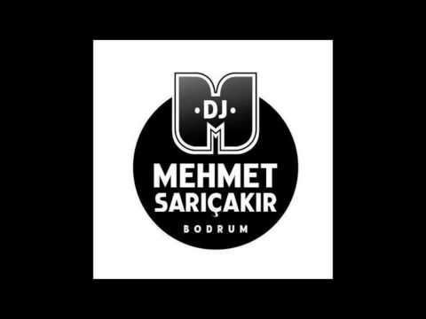 Hande Yener ft Volga Tamöz   Biri Var Mehmet Sarıçakır Remix