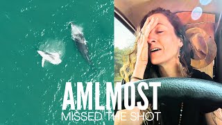 Finally Caught Whales On The Drone! Van Life Travel Australia