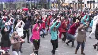 preview picture of video 'One Billion Rising Bonn 14.02.2013'