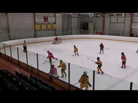 Hermes - Ilves vihreä