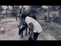 Rip Vijayabaskar Karuppu Komban Kaalai
