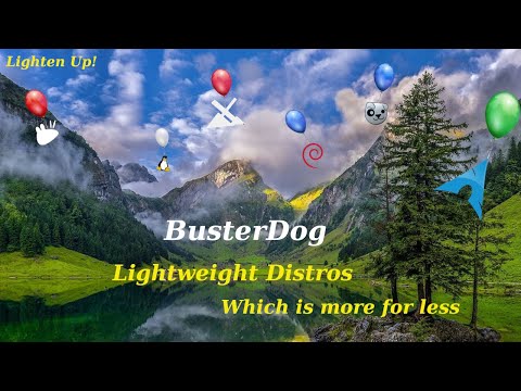 Lightweight Distros Under 900MB BusterDog Linux