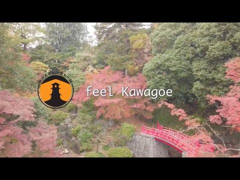 feel kawagoe