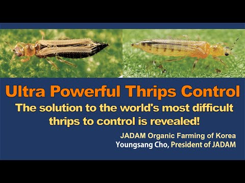 February 2023 JADAM Lecture tour in the USA