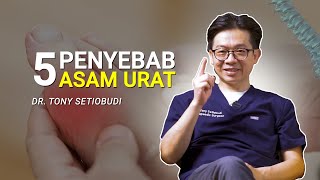 Download lagu 5 PENYEBAB ASAM URAT | DR TONY SETIOBUDI mp3