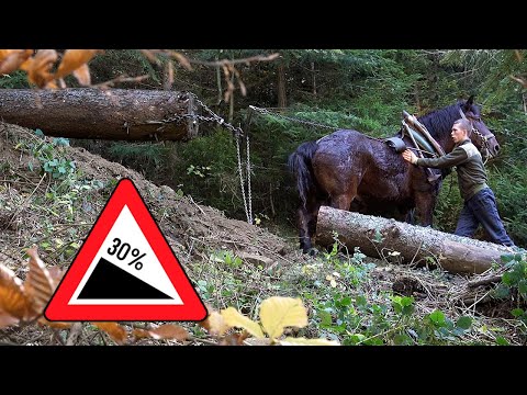 FURMANI U MOKRANSKIM STRANAMA 2022 !!!