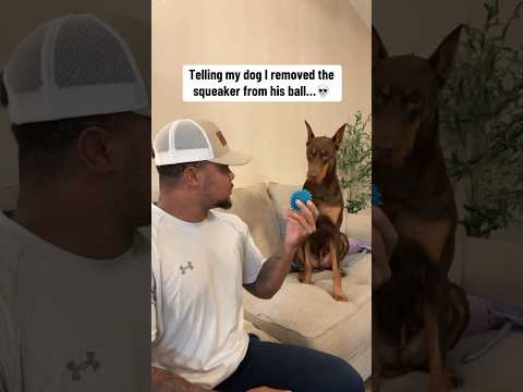 I’m pretty sure my dog just cussed me out 😂💀😭 #shorts #reels #explore