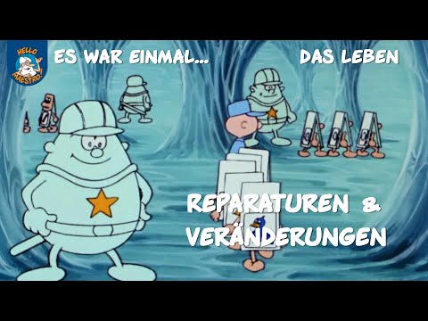 Reparaturen & Veränderungen (Es war einmal... das Leben | Ausschnitt)