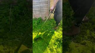 Getting rid of UK Stinging nettles 🇬🇧 #landscape #grass #stihl #work