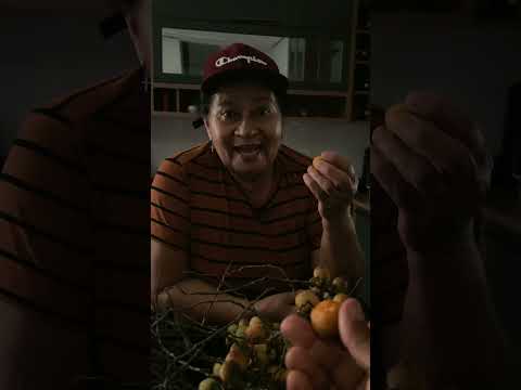 Oi meu povo de Acajutiba🌵 Bahia e região 📍, pega a visão 👁️👁️!