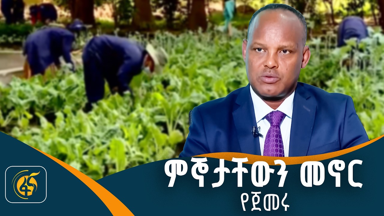 የከተሞች ልማታዊ ሴፍቲኔት ተጠቃሚዎች
