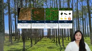 Unlocking Forest Secrets: Using Satellites and AI to Track Tree Age
