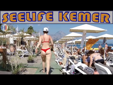 Videos del Sealife Kemer Resort 5★ en Kemer, TurquíaVer MásVerPrecios15CerrarConsulta por Whatsapp 🇦🇷BookingTripadvisorExpediaAgodaOrbitzTripSkyscannerDespegarKayakHotelesDestiniaTrivagoTurismocityLastminuteTui