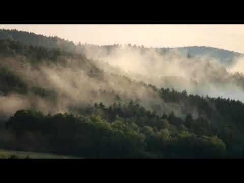 Progressive Rock Mix by Ofenblase - Volume 22 (Metal)