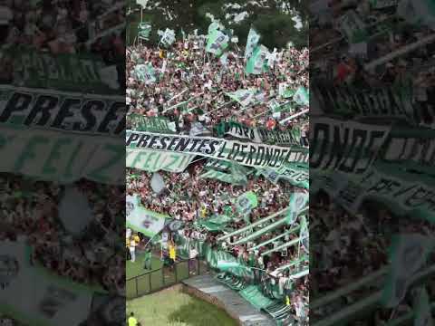 "LOS DEL SUR " Barra: Los del Sur &bull; Club: Atlético Nacional &bull; País: Colombia