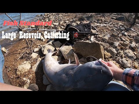 Catfishing a Large Reservoir from the Bank - Catching Blue and Channel Catfish