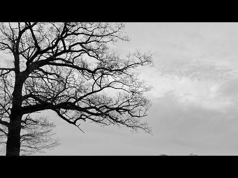 Ik Ga Je Missen [ Mark Gerritsen / MG Levenslied ]