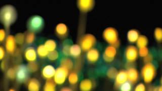 Bruce Munro - Field of Light at Holburne Museum, Bath