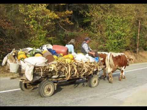 Vlaska Truba iz Vlaske Krajne