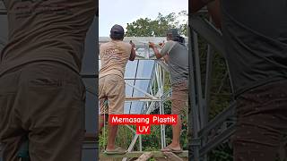 Download lagu Tips Membuat Plat untuk Pemasangan Plastik UV tanpa Spring Clip #aridzona #greenhouse #kaktus mp3 Download lagu Tips Membuat Plat untuk Pemasangan Plastik UV tanpa Spring Clip #aridzona #greenhouse #kaktus mp3