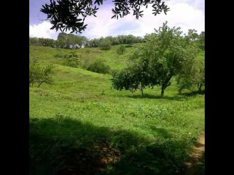 El Tsunami - Super Banda de Colomboy / Cordoba.