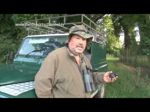 Манок на самца косули Buttolo Blatter 290 зов самки - фото 2 - id-p2988520164