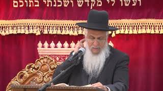 מצוות התורה בפרשת צו חלק ב | הרב יורם סרי