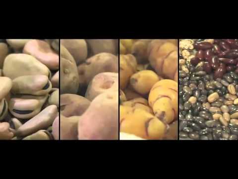 Trailer Desierto verde