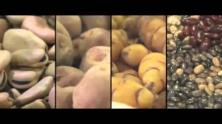 Trailer Desierto verde