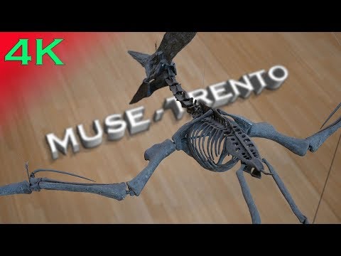 MUSE SCIENCE MUSEUM OF TRENTO - PANASONIC GX-80