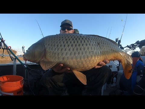200 lb Carp Fishing Challenge (Winter!) - Catching 200 lbs of carp in 1 day