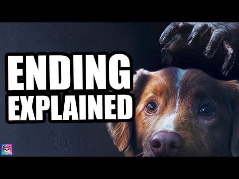 GOOD BOY Ending Explained - What it's REALLY about