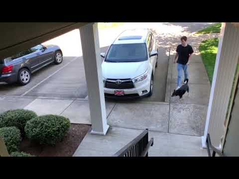 Seanna Macri Final Video COMM 3760