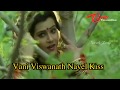 Vani Viswanath Navel Kiss Complitation