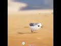 Jaise Aankhon Ki Dibiya Me Nindiya WhatsApp Status