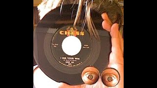 I Dig Your Wig - Buddy Guy