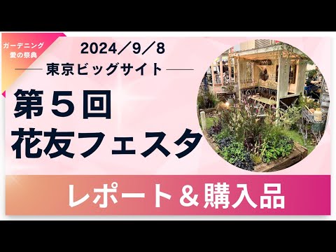 レインボーフェスク 植物