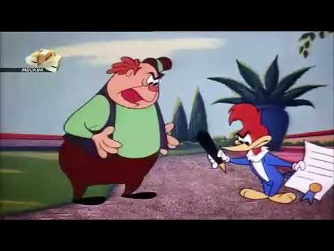 MELHORES EPISÓDIOS - Pica Pau em Português - SEM ANÚNCIOS  Pica Pau Desenhos Animados Antigos