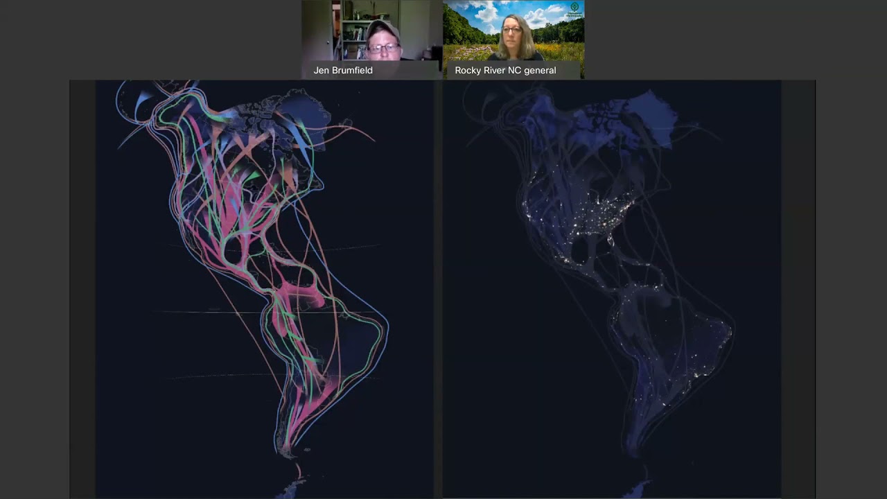 Bird Migration: The Secrets of Flight
