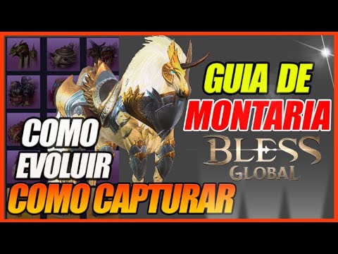 ? AO-VIVO ? BLESS GLOBAL: ?Em busca das montarias!