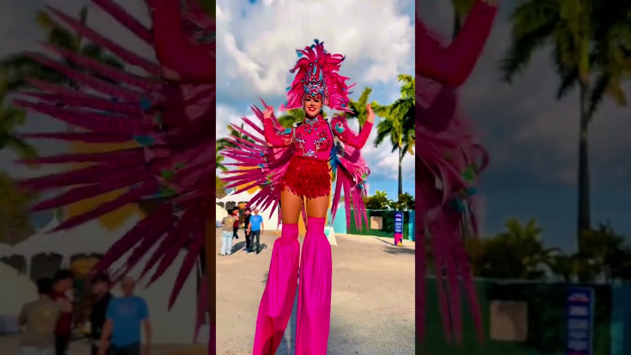Promotional video thumbnail 7 for Hora Loca Samba Show